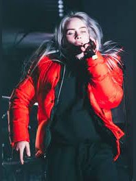Billie Eilish Red Jacket