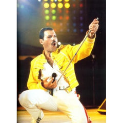 Freddie Mercury Concert Queen Yellow Jacket
