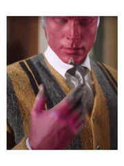 WandaVision Paul Bettany Sweater